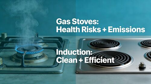 Latest company blog about Why Are Gas Stoves Being Discontinued in South America? 